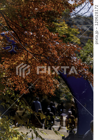 紅葉の筑波山ケーブルカー入り口のアーチ 紅葉の筑波山ケーブルカー入り口のアーチ 120628172