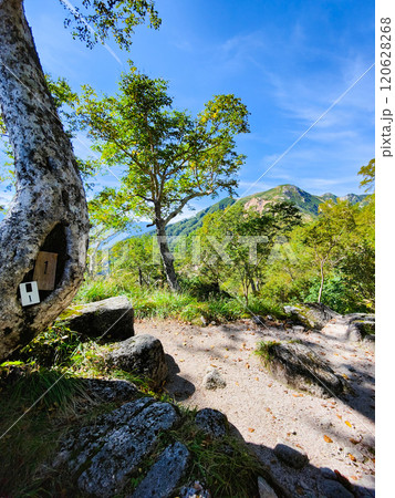 夏の烏帽子岳・南沢岳登山（ブナ立尾根から三ッ岳を望む） 120628268