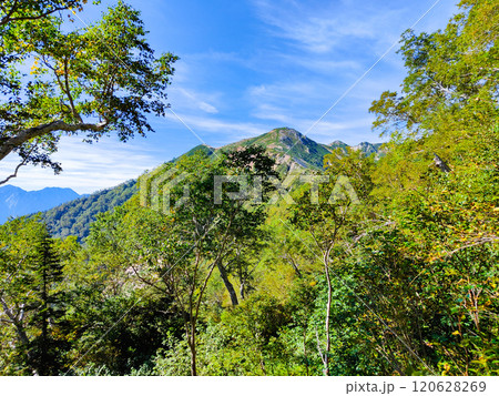 夏の烏帽子岳・南沢岳登山(ブナ立尾根から三ッ岳を望む) 夏の烏帽子岳・南沢岳登山(ブナ立尾根から三ッ岳を望む) 120628269