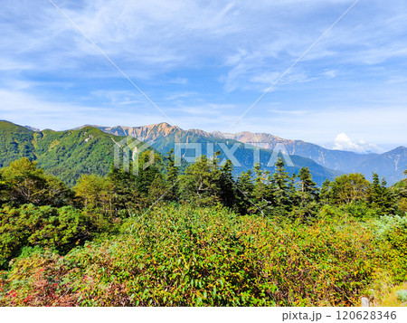 夏の烏帽子岳・南沢岳登山（烏帽子小屋から赤牛岳・薬師岳を望む） 120628346