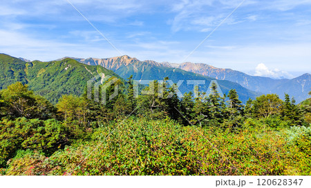 夏の烏帽子岳・南沢岳登山(烏帽子小屋から赤牛岳・薬師岳を望む) 夏の烏帽子岳・南沢岳登山(烏帽子小屋から赤牛岳・薬師岳を望む) 120628347