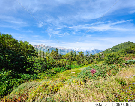 夏の烏帽子岳・南沢岳登山（烏帽子小屋から赤牛岳・薬師岳を望む） 120628369