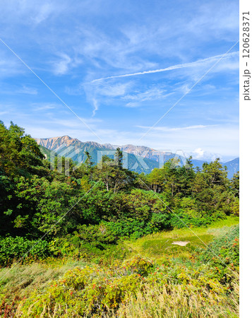 夏の烏帽子岳・南沢岳登山（烏帽子小屋から赤牛岳・薬師岳を望む） 120628371