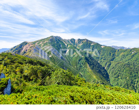 夏の烏帽子岳・南沢岳登山(烏帽子小屋~前烏帽子岳:三ッ岳を望む) 夏の烏帽子岳・南沢岳登山(烏帽子小屋~前烏帽子岳:三ッ岳を望む) 120628410