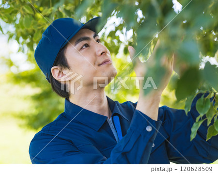 植物を観察する男性作業員 120628509