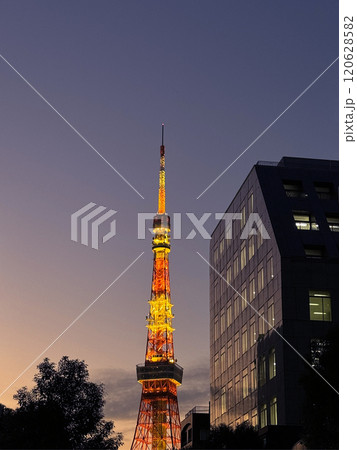 東京タワー 東京タワー 120628582