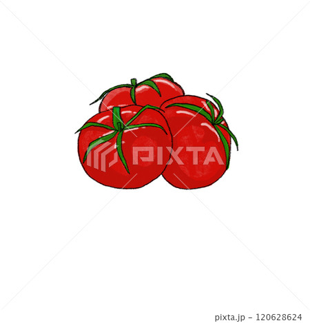 新鮮な赤いトマトのイラスト 新鮮な赤いトマトのイラスト 120628624