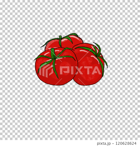 新鮮な赤いトマトのイラスト 新鮮な赤いトマトのイラスト 120628624