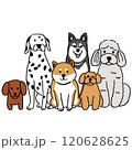 かわいい犬の集合イラスト 120628625
