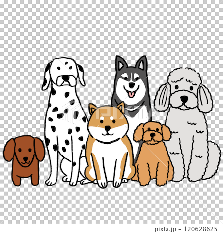かわいい犬の集合イラスト 120628625