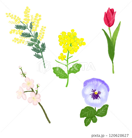 花のイラスト 花のイラスト 120628627