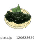新鮮なわかめのイラスト 120628629