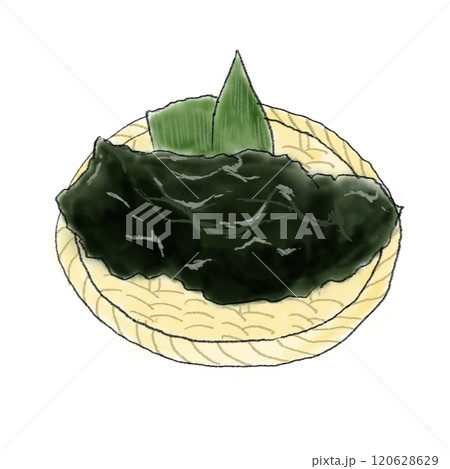 新鮮なわかめのイラスト 120628629