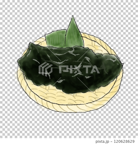 新鮮海藻的插圖 120628629
