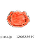 毛蟹のイラスト 120628630
