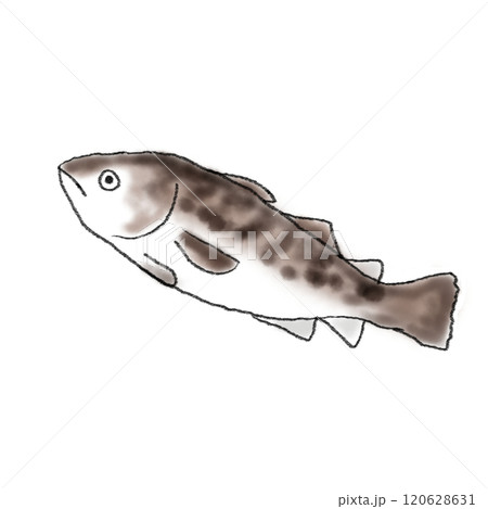 タラのイラスト タラのイラスト 120628631