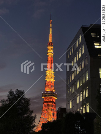 東京タワー 120628638