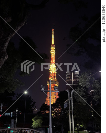 東京タワー 東京タワー 120628640