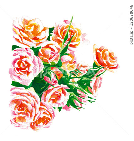ピンクの薔薇の花束 120628646