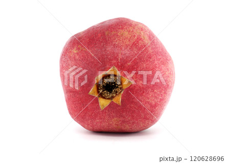 Fresh Pomegranate Fruit Against White Background in Studio Light Fresh Pomegranate Fruit Against White Background in Studio Light 120628696