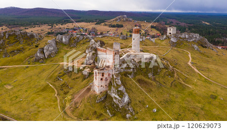 Destroyed Olsztyn Castle Destroyed Olsztyn Castle 120629073