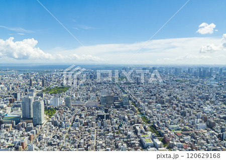 【都市景観】スカイツリーから北東方向の眺望（東京湾・千葉方向） 120629168