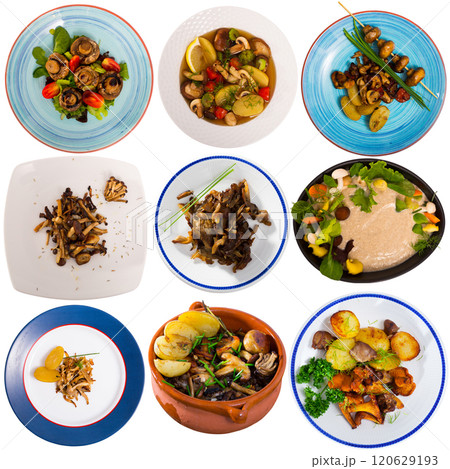 Dishes from mushrooms isolated on white 120629193