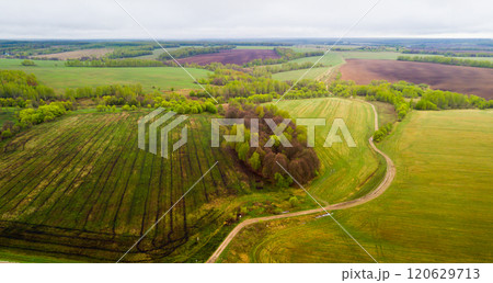 Fields and grasslands of Central Russia Fields and grasslands of Central Russia 120629713