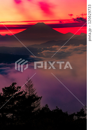 雲海の高ポッチ高原からの朝焼けの富士山眺望 雲海の高ポッチ高原からの朝焼けの富士山眺望 120629733