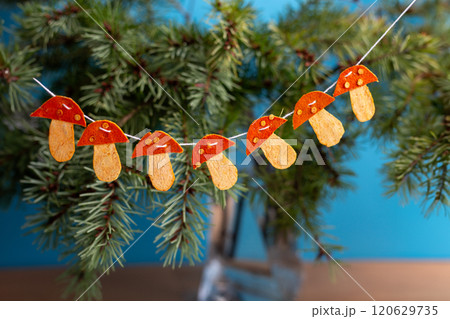 garland made of dried tangerine peel hanging on Christmas tree branches 120629735