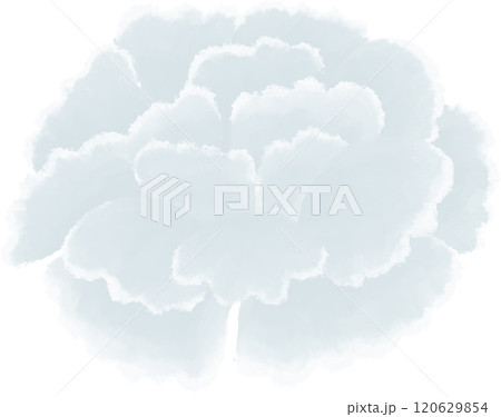 white carnation oil painting 120629854