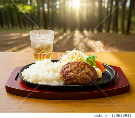 ワンプレートのハンバーグ ワンプレートのハンバーグ 120629931