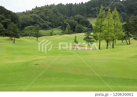 ゴルフライフ 利府ゴルフ倶楽部8番ホール ゴルフライフ 利府ゴルフ倶楽部8番ホール 120630061