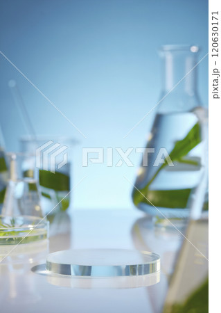 The photo in lab scene, seaweed leaves and essence in beaker and petri dish. Seaweed rich in vitamins, stimulating ha, so having the effect of treating acne detoxing the skin, anti aging The photo in lab scene, seaweed leaves and essence in beaker and petri dish. Seaweed rich in vitamins, stimulating ha, so having the effect of treating acne detoxing the skin, anti aging 120630171