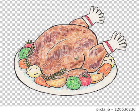 Roast chicken hand drawn illustration Roast chicken hand drawn illustration 120630236