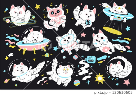 Vector illustration of a set of space cats in flat style. 120630603