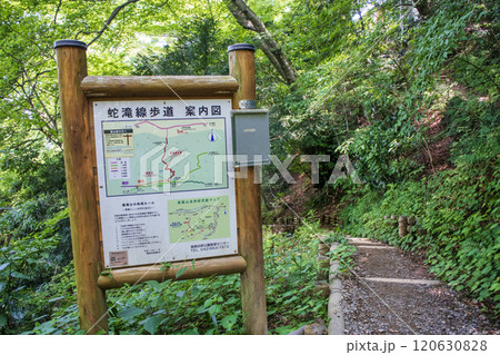 高尾山　蛇滝コース（じゃたきコース）　登山道　1号路からの下山道 120630828