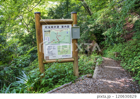 高尾山　蛇滝コース（じゃたきコース）　登山道　1号路からの下山道 120630829