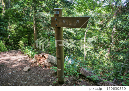 高尾山　蛇滝コース（じゃたきコース）　登山道　1号路からの下山道 120630830