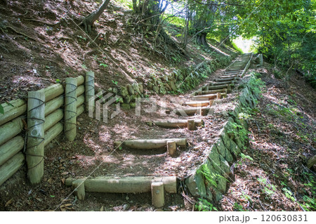 高尾山 蛇滝コース(じゃたきコース) 蛇瀧水行道場からの登山道 高尾山 蛇滝コース(じゃたきコース) 蛇瀧水行道場からの登山道 120630831