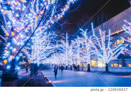 横浜みなとみらいグランモール公園のイルミネーション【神奈川県・横浜市】 横浜みなとみらいグランモール公園のイルミネーション【神奈川県・横浜市】 120630837