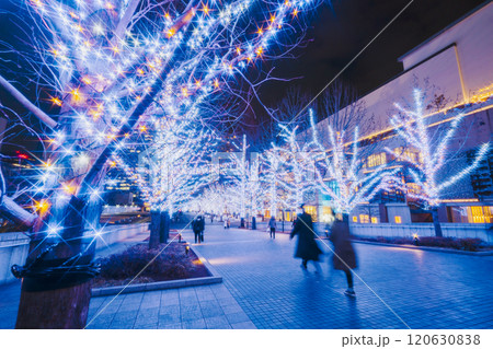 横浜みなとみらいグランモール公園のイルミネーション【神奈川県・横浜市】 120630838