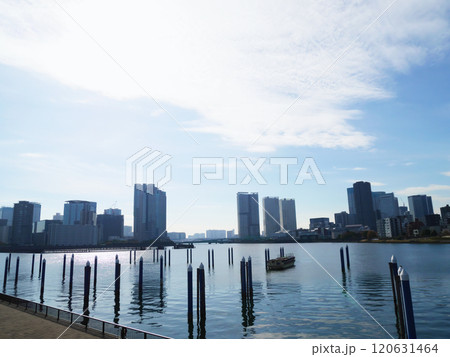 水辺から望む高層マンション群|豊洲・晴海・勝どき 水辺から望む高層マンション群|豊洲・晴海・勝どき 120631464
