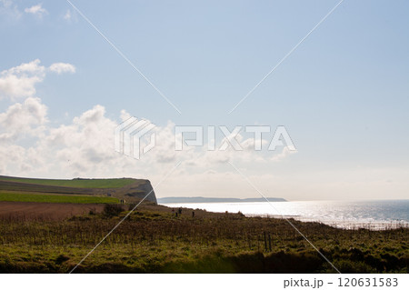 A picturesque scenic coastal landscape featuring towering cliffs alongside a beautiful sunlit ocean 120631583