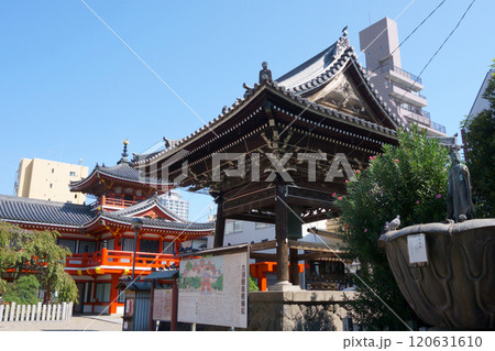 なごや七福神めぐり 大須観音 鐘楼堂と紫雲殿 なごや七福神めぐり 大須観音 鐘楼堂と紫雲殿 120631610