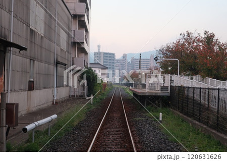 ノーフォーク広場駅 ノーフォーク広場駅 120631626