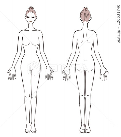 普通体型の女性のイラスト 普通体型の女性のイラスト 120631740