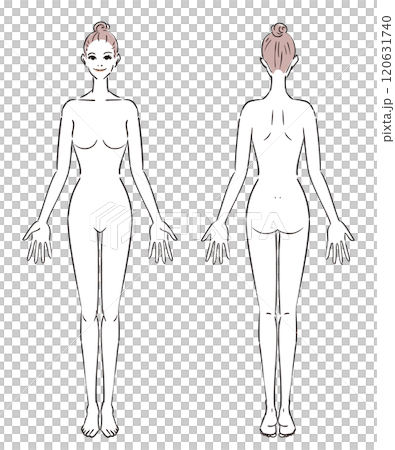普通体型の女性のイラスト 普通体型の女性のイラスト 120631740