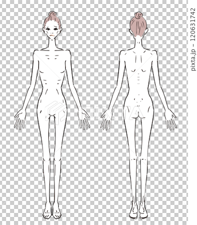 痩せすぎている女性のイラスト 120631742