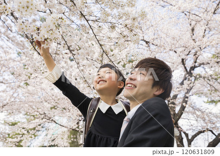 お父さんに抱っこしてもらって桜を触る新一年生　入学イメージ 120631809